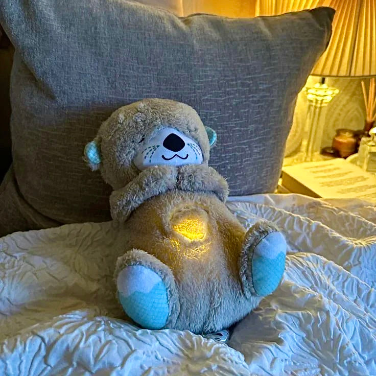 CUDDLING & BREATHING TEDDY BEAR